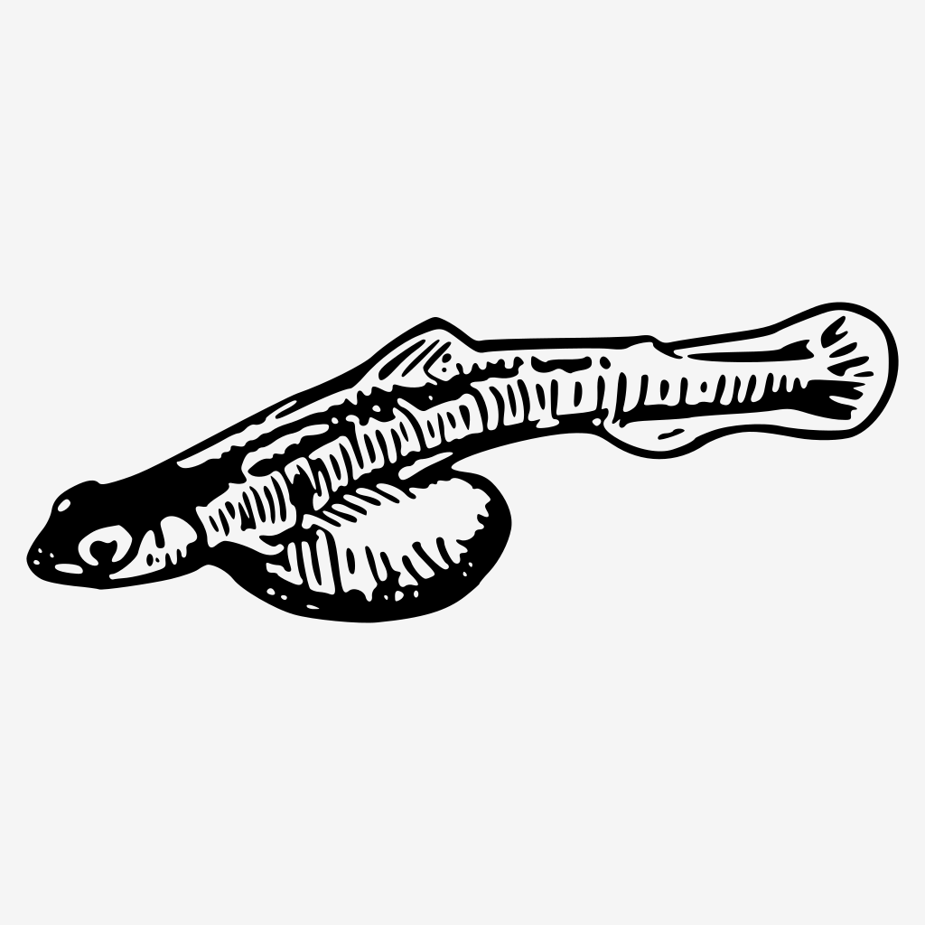 Alevin Streamkeeper app icon